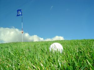 Golfový míček na golfovém hřišti na Floridě