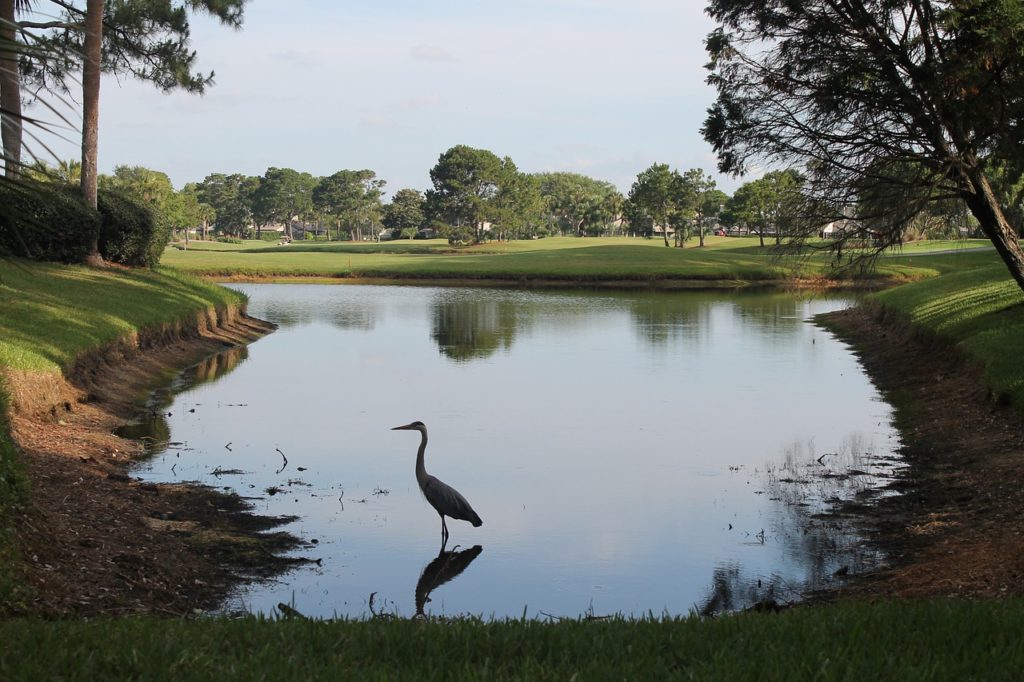 Ponte Vedra Beach Golf Florida